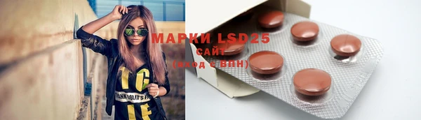 индика Алзамай