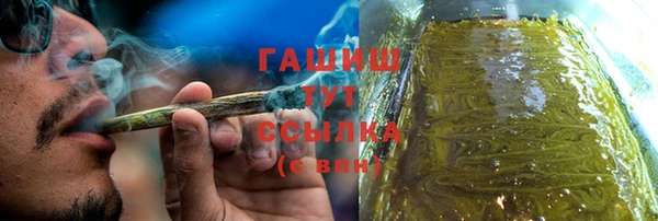 индика Алзамай