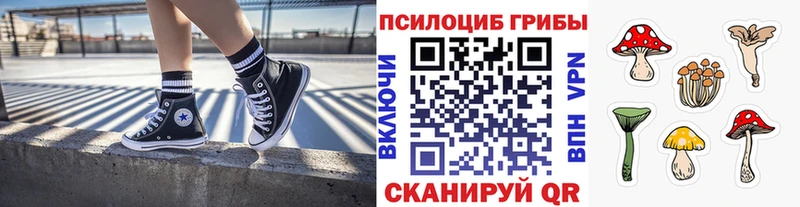 где купить наркоту  Нижняя Салда  kraken   Галлюциногенные грибы Magic Shrooms 